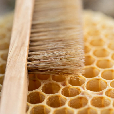 Bee Brush